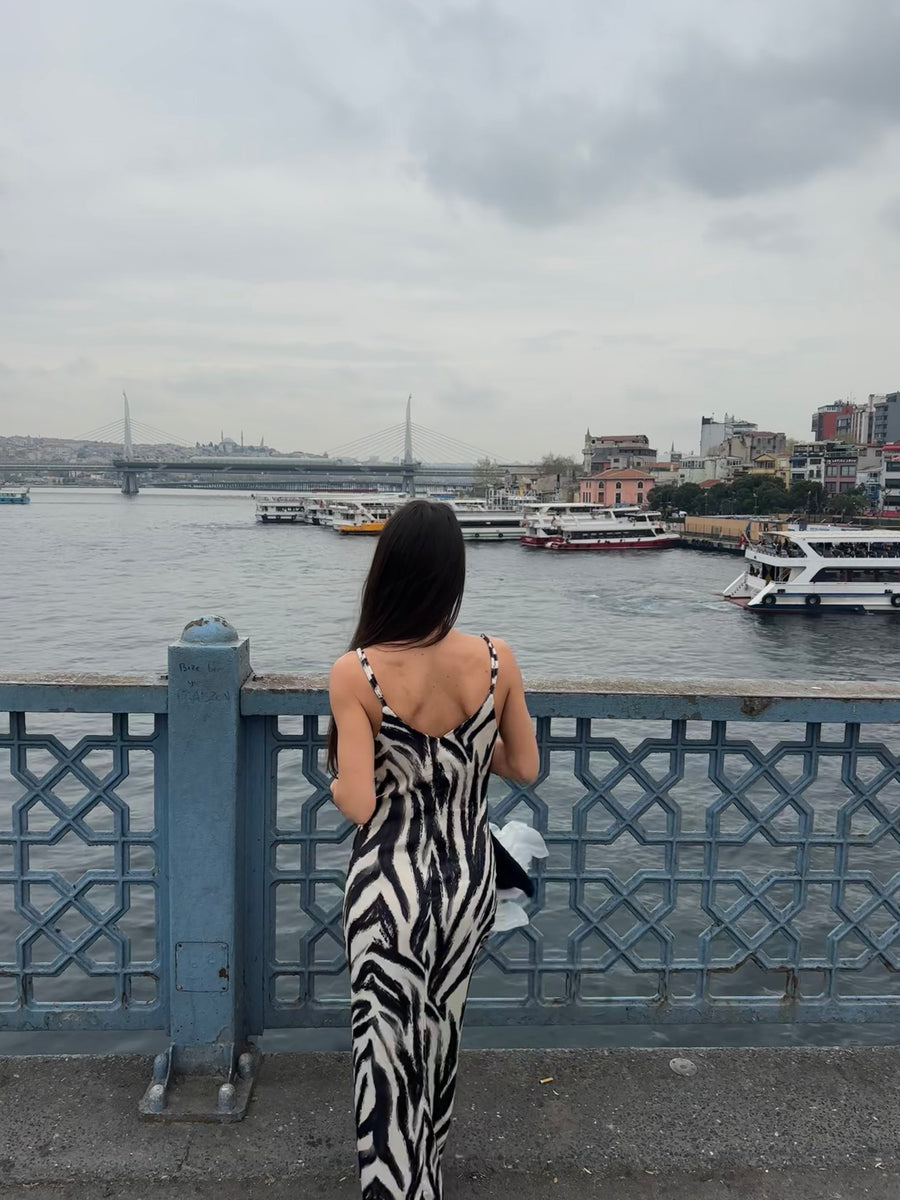 Zebra Saten Elbise