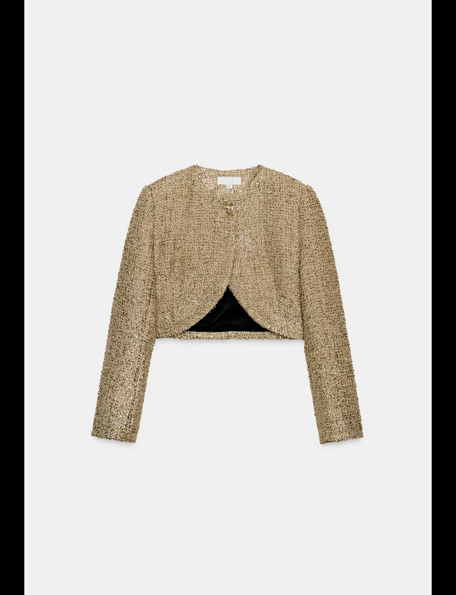 Metalik Kısa Dokulu Ceket